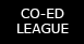 Adult Co-Ed League