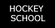 Youth Hockey School